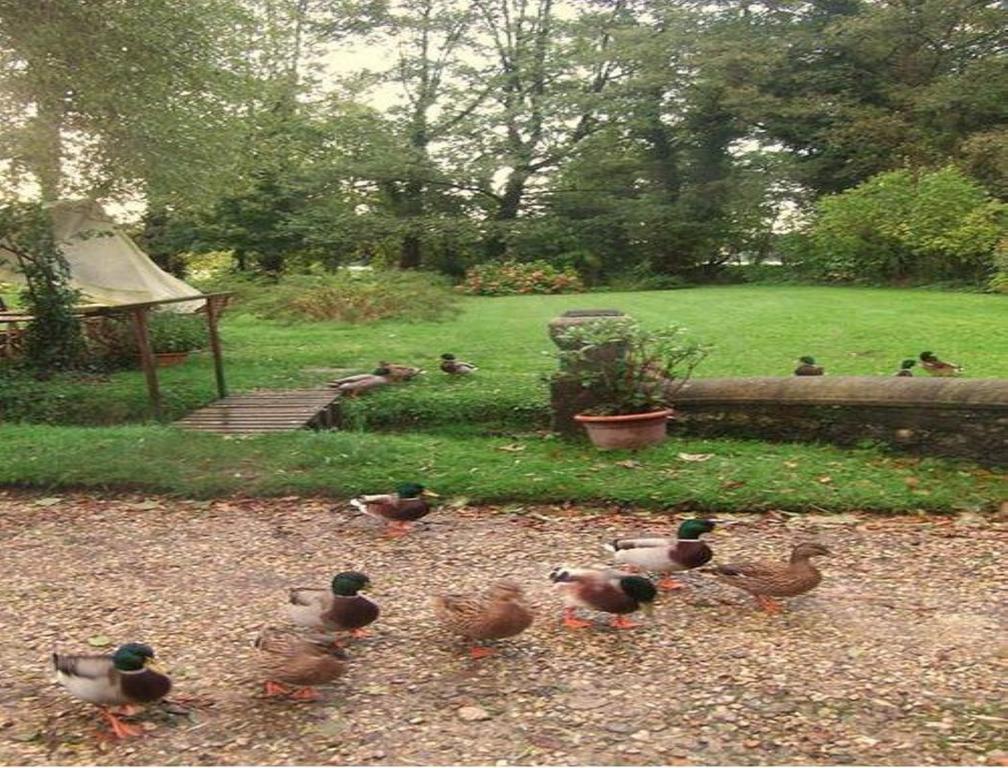 Le Moulin Fleuri Du Petit Appeville Kültér fotó
