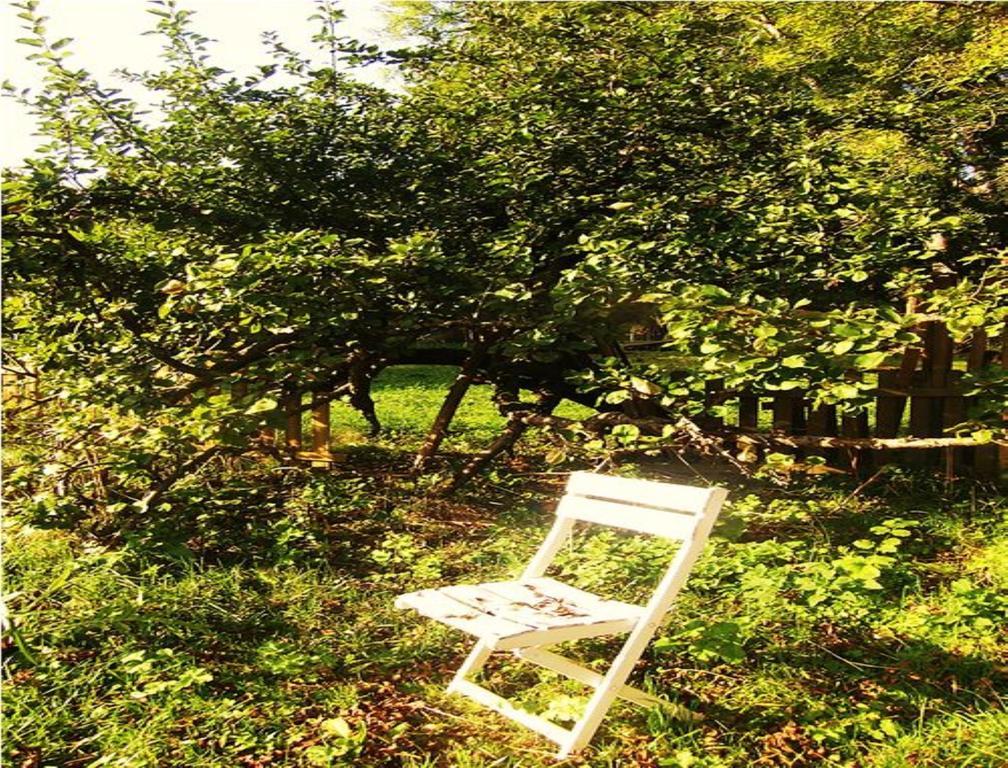 Le Moulin Fleuri Du Petit Appeville Kültér fotó