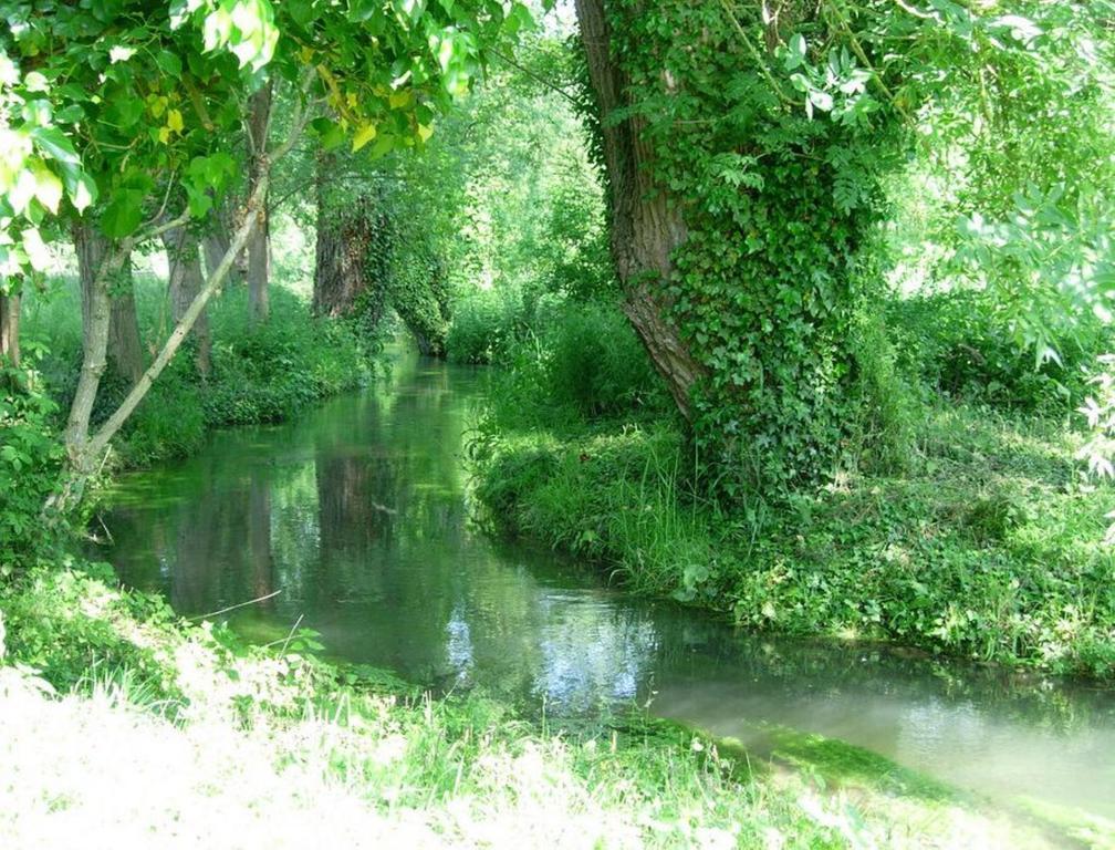 Le Moulin Fleuri Du Petit Appeville Kültér fotó