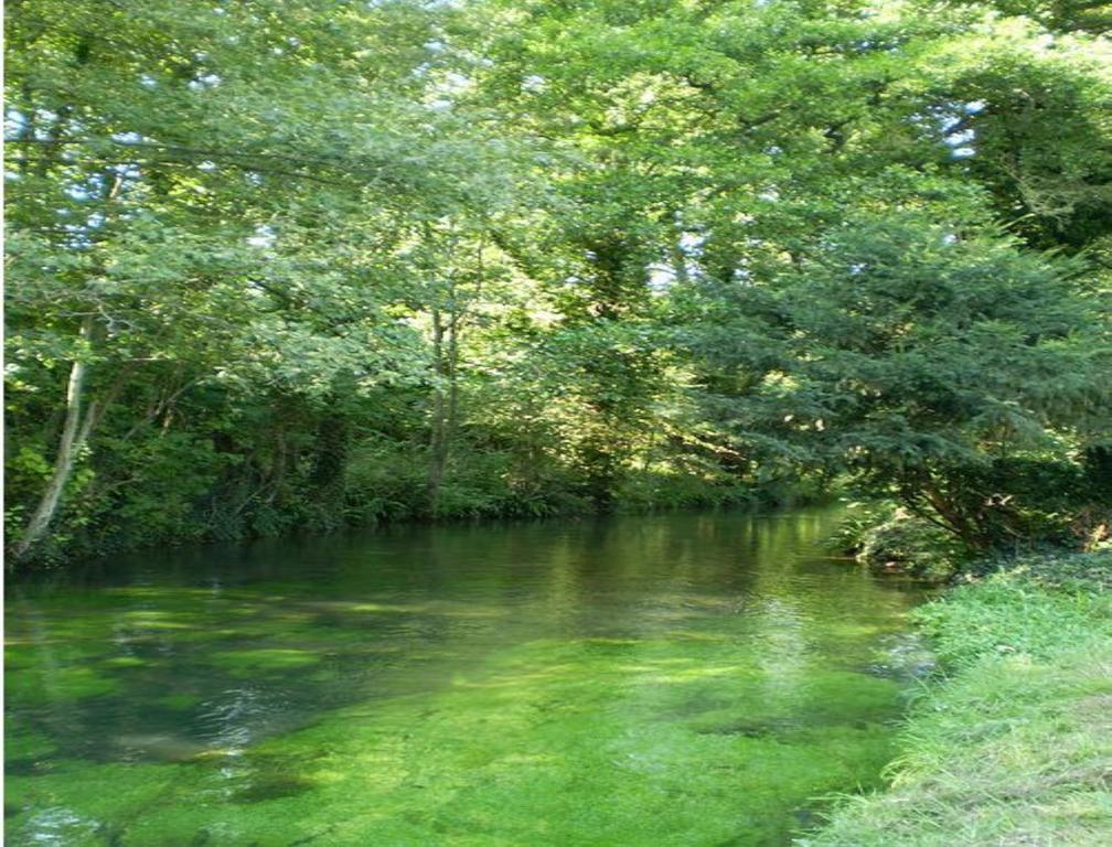 Le Moulin Fleuri Du Petit Appeville Kültér fotó