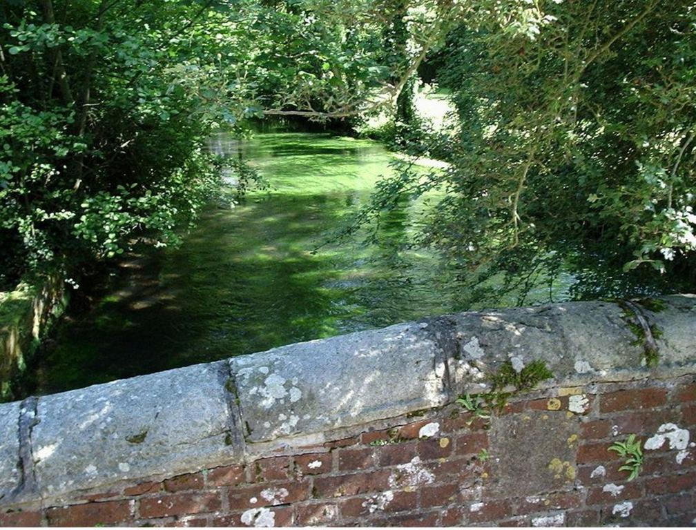 Le Moulin Fleuri Du Petit Appeville Kültér fotó