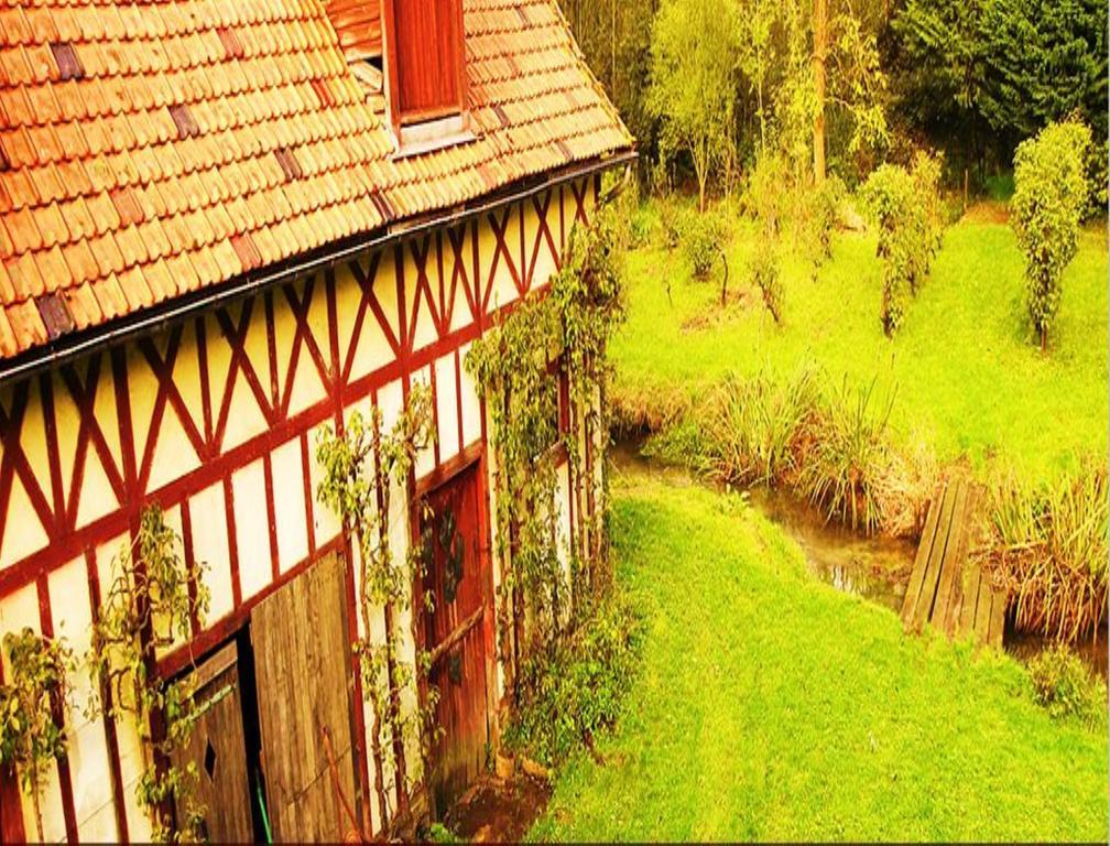 Le Moulin Fleuri Du Petit Appeville Kültér fotó