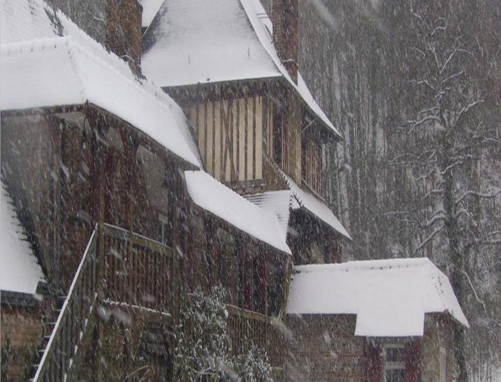 Le Moulin Fleuri Du Petit Appeville Kültér fotó